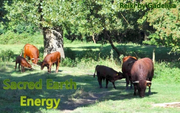 Sacred Earth Energy